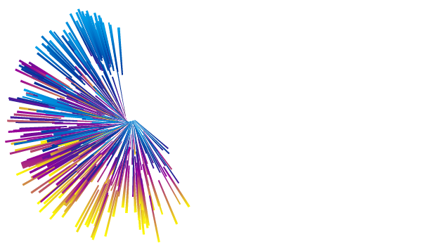 Your Dream Wall